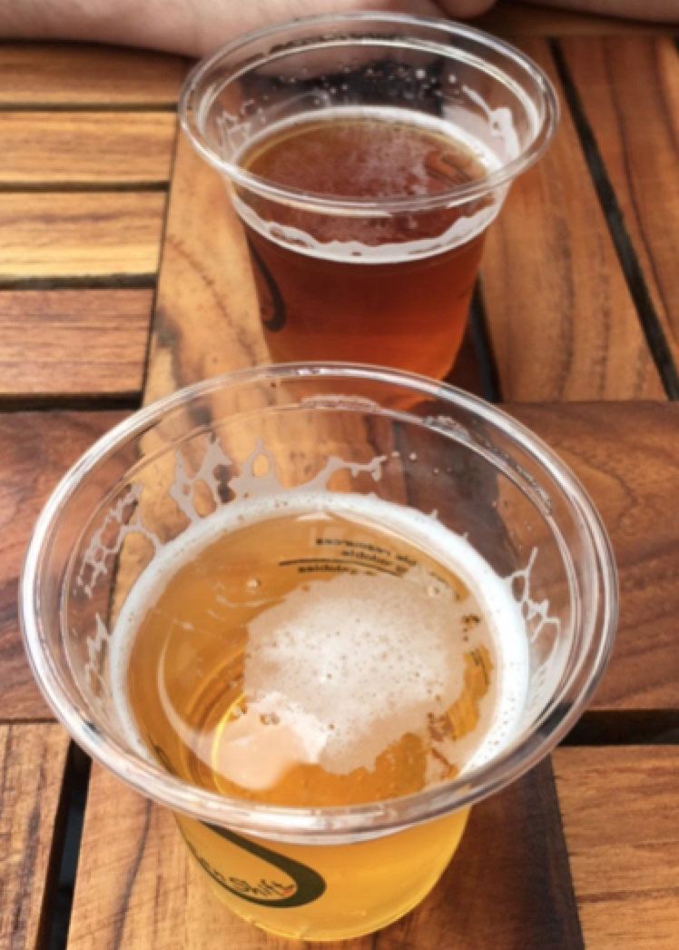 Photo of two craft beer samples